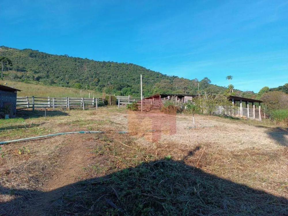 Sítio, 10 hectares - Foto 14