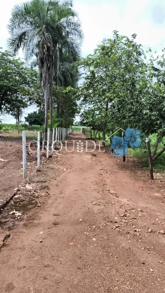 Chácara, 5 quartos - Foto 12