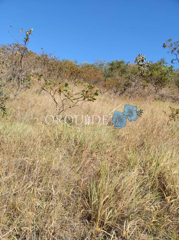 Fazenda - Foto 16