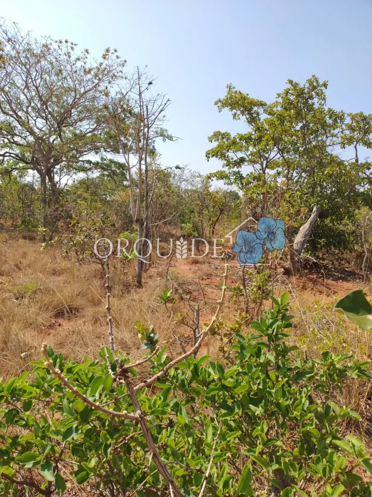 Fazenda - Foto 12