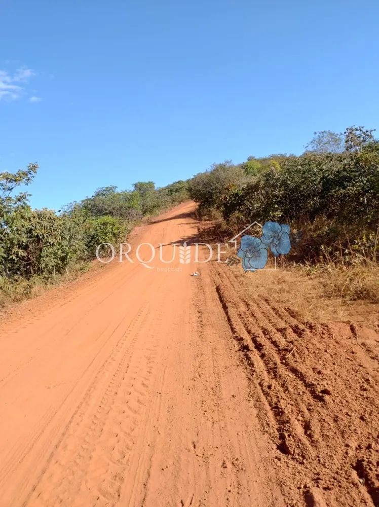 Fazenda - Foto 11