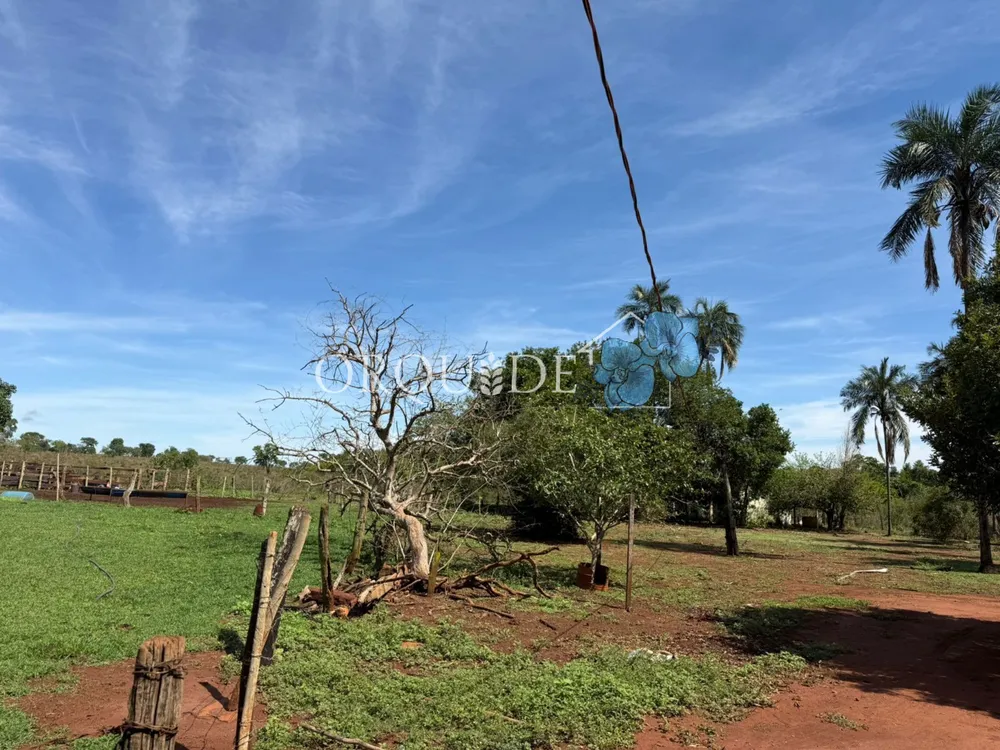 Fazenda - Foto 6