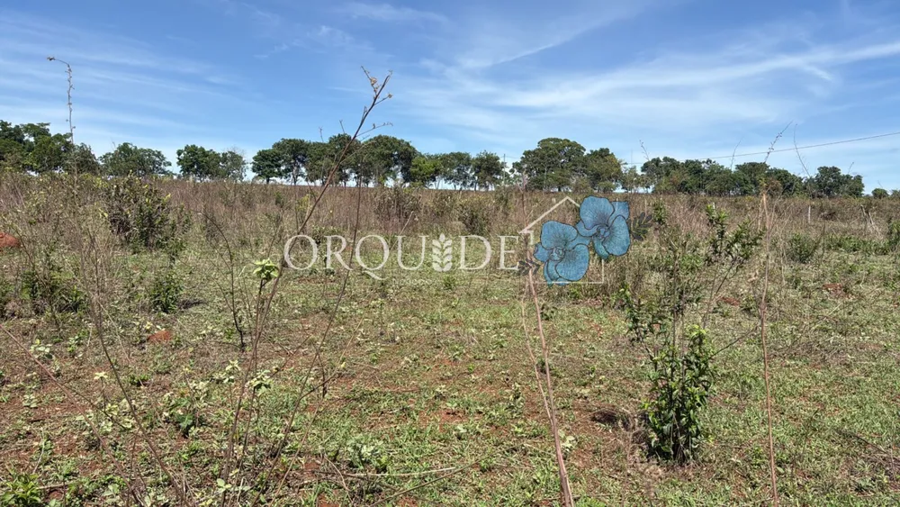 Fazenda - Foto 9