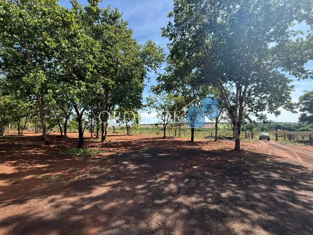 Fazenda - Foto 7