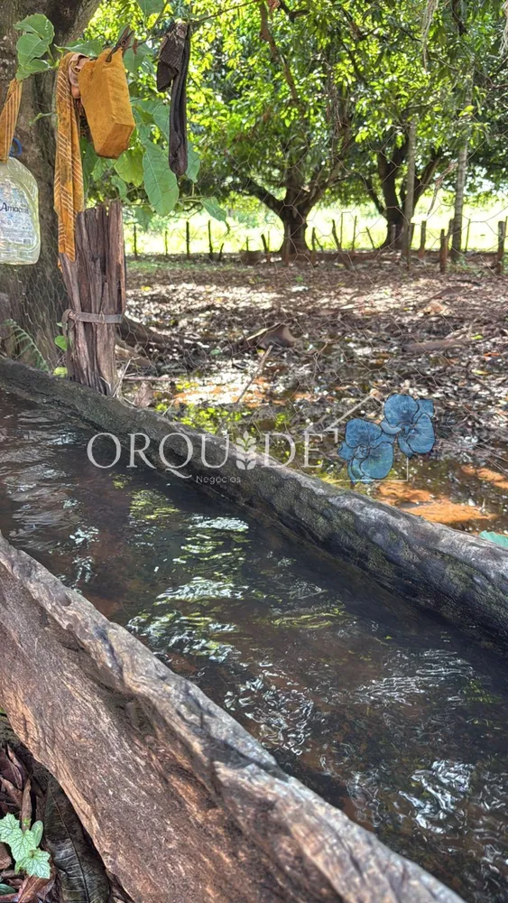Fazenda - Foto 11