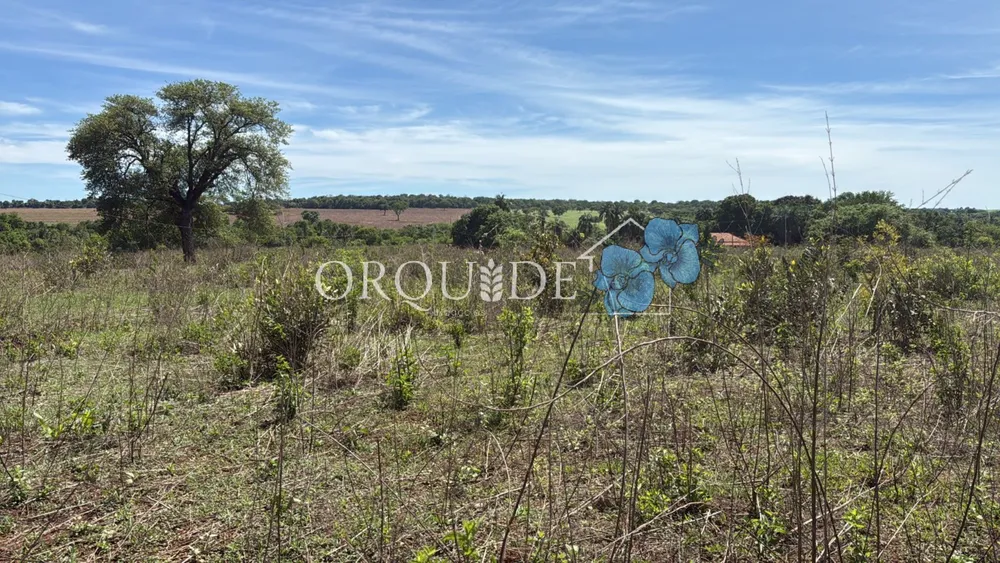 Fazenda - Foto 10
