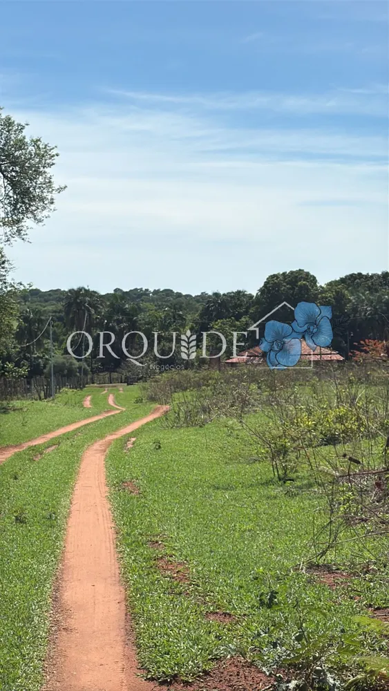 Fazenda - Foto 1
