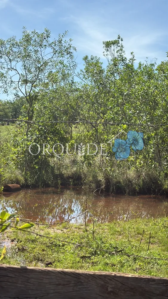 Fazenda - Foto 12