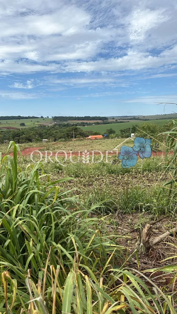 Fazenda, 4 m² - Foto 4