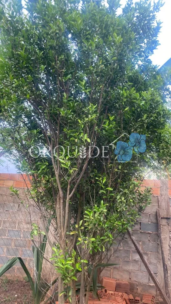 Chácara, 3 quartos - Foto 10