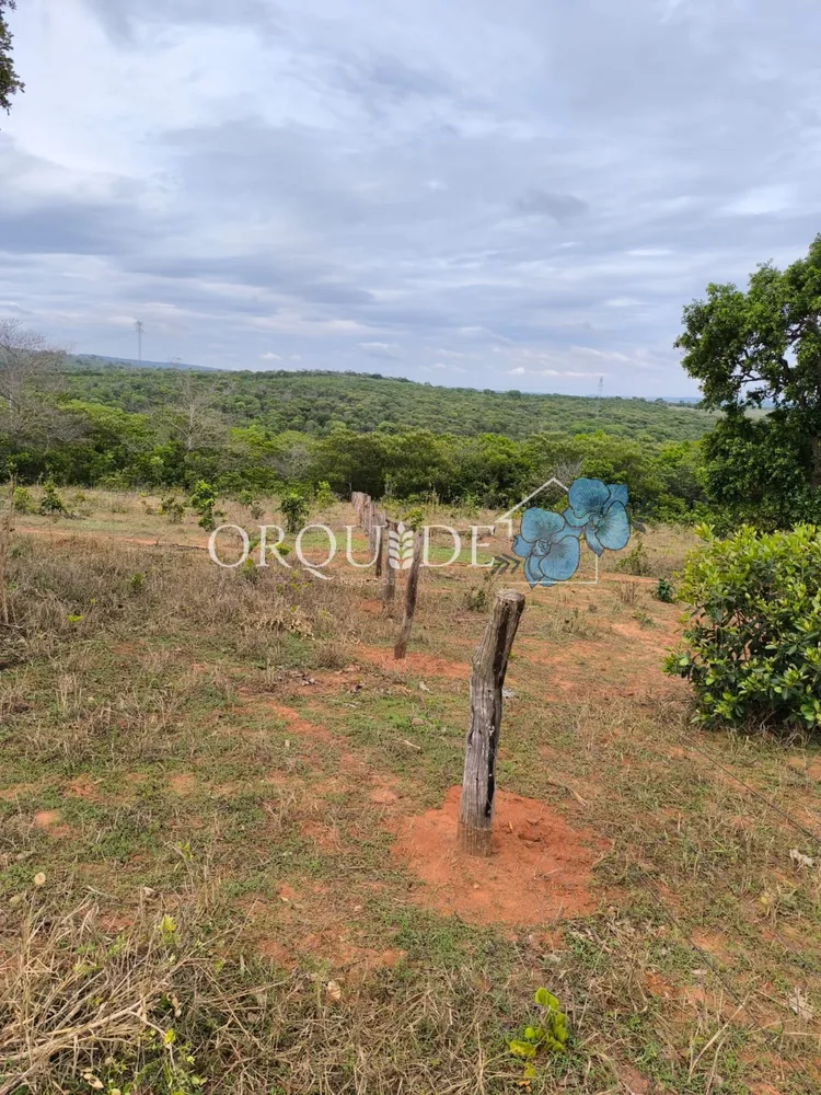 Fazenda - Foto 1