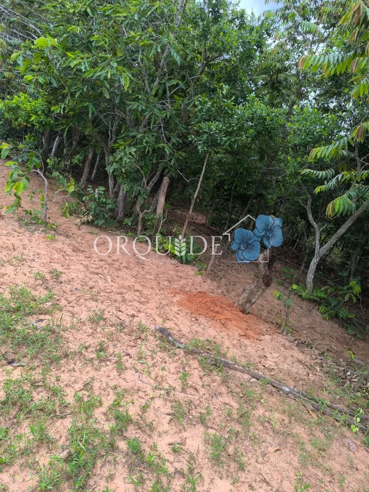 Fazenda - Foto 5