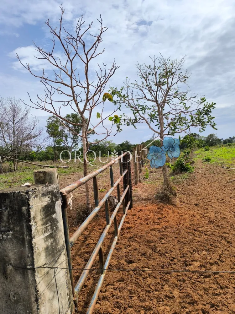 Fazenda - Foto 2