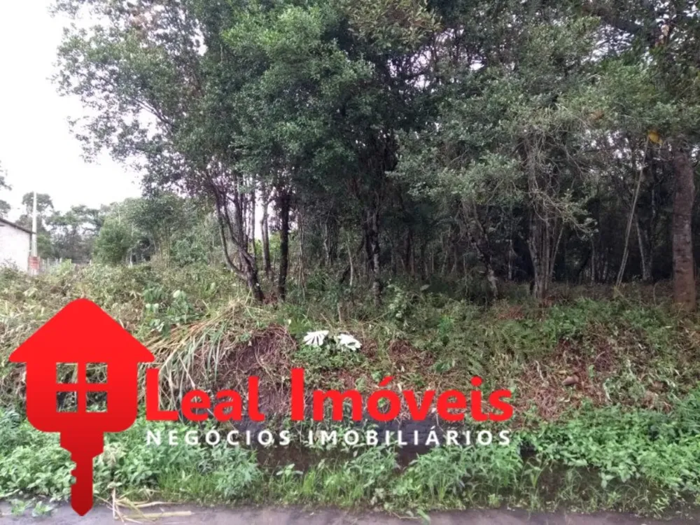 Terreno, 250 m² - Foto 1