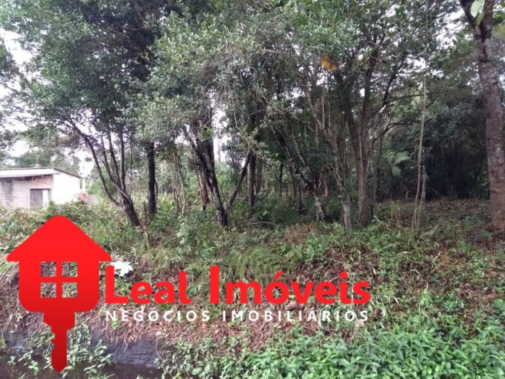 Terreno à venda, 250m² - Foto 1