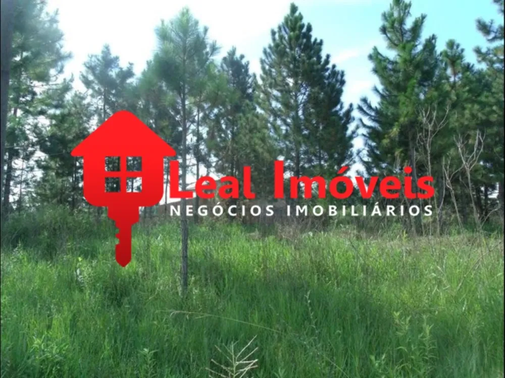 Terreno, 600 m² - Foto 5