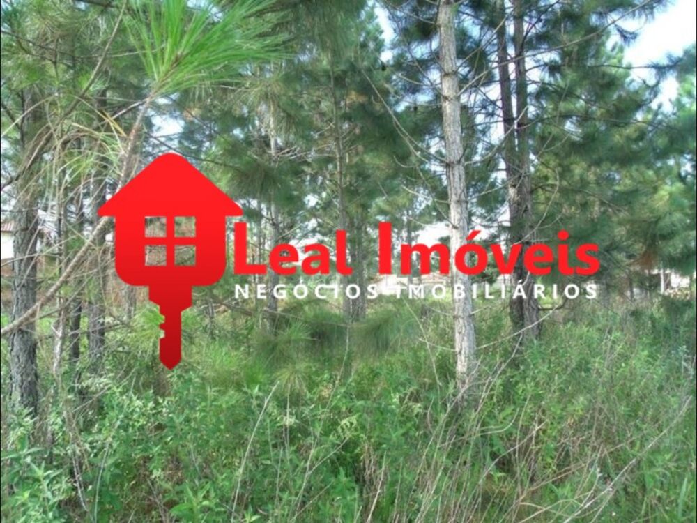 Terreno, 600 m² - Foto 4
