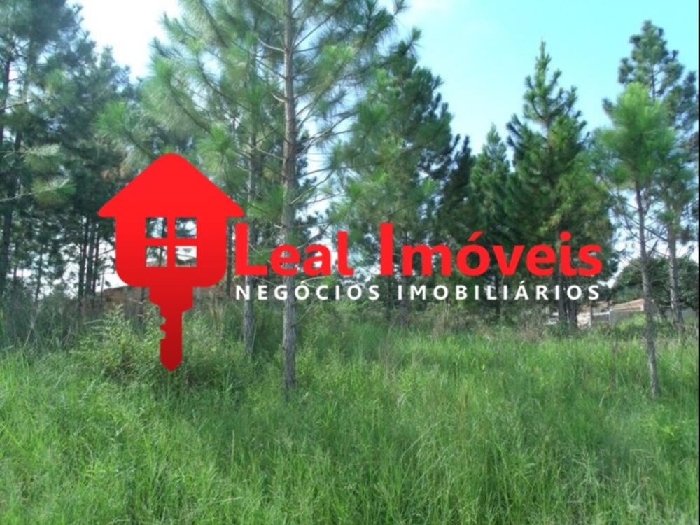 Terreno, 600 m² - Foto 2