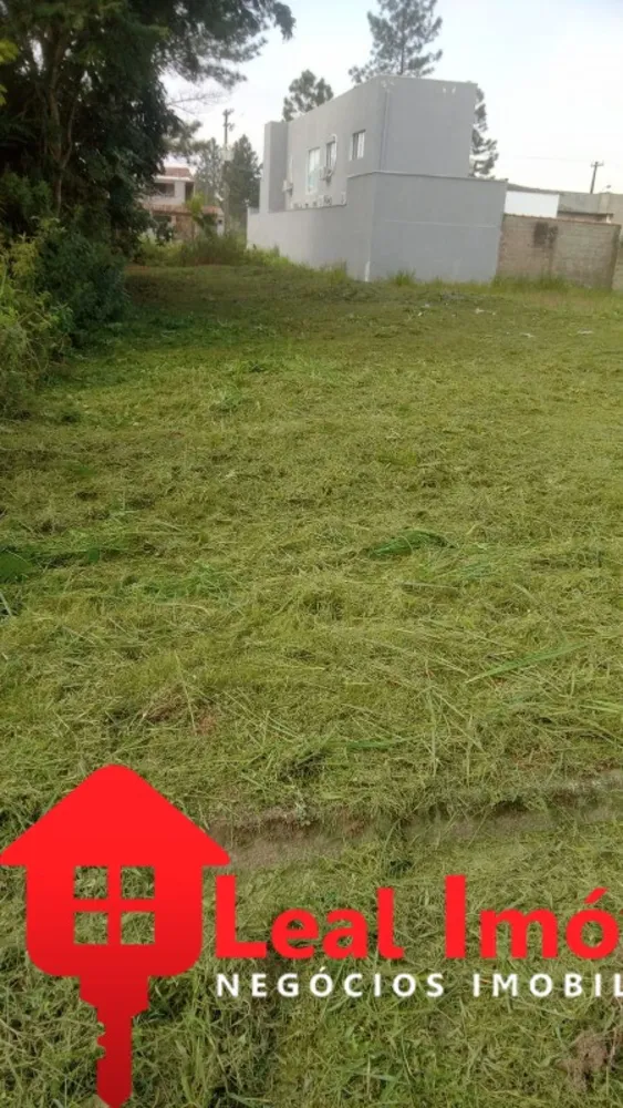 Terreno, 250 m² - Foto 4
