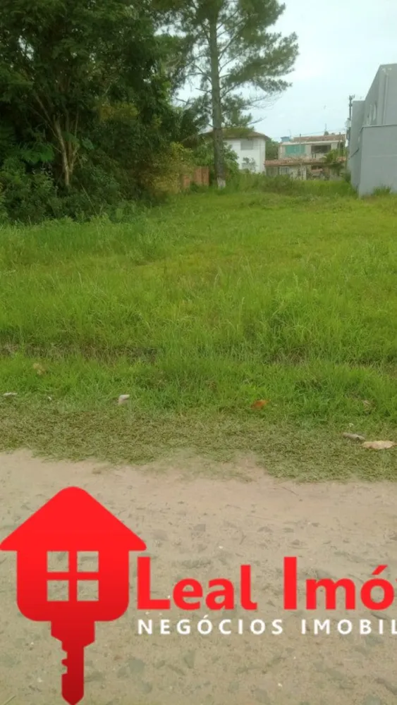 Terreno, 250 m² - Foto 1