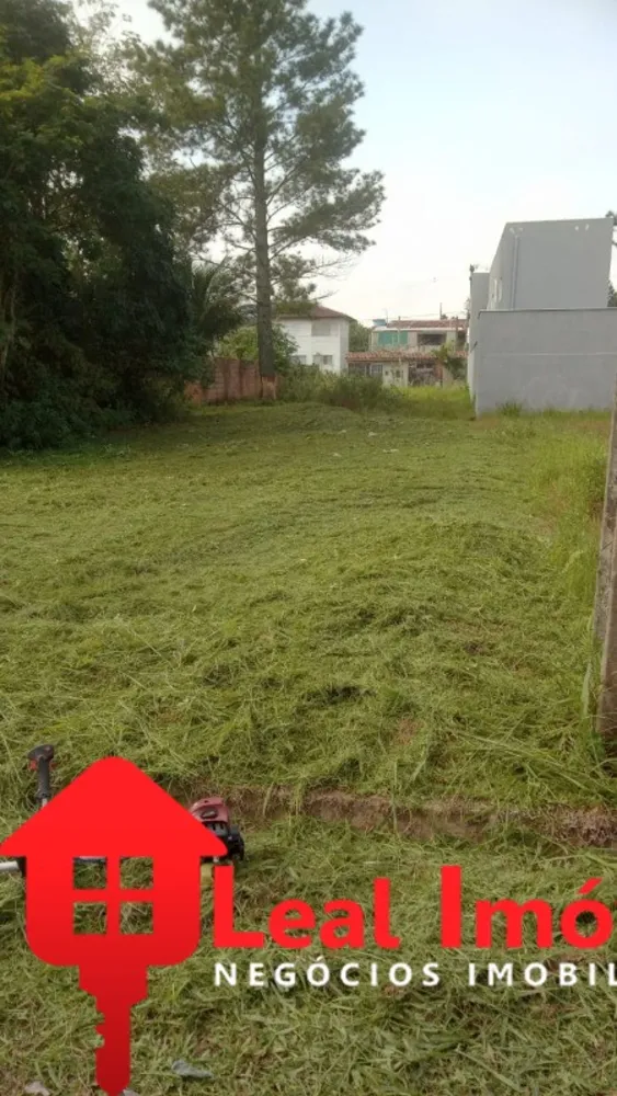 Terreno, 250 m² - Foto 3