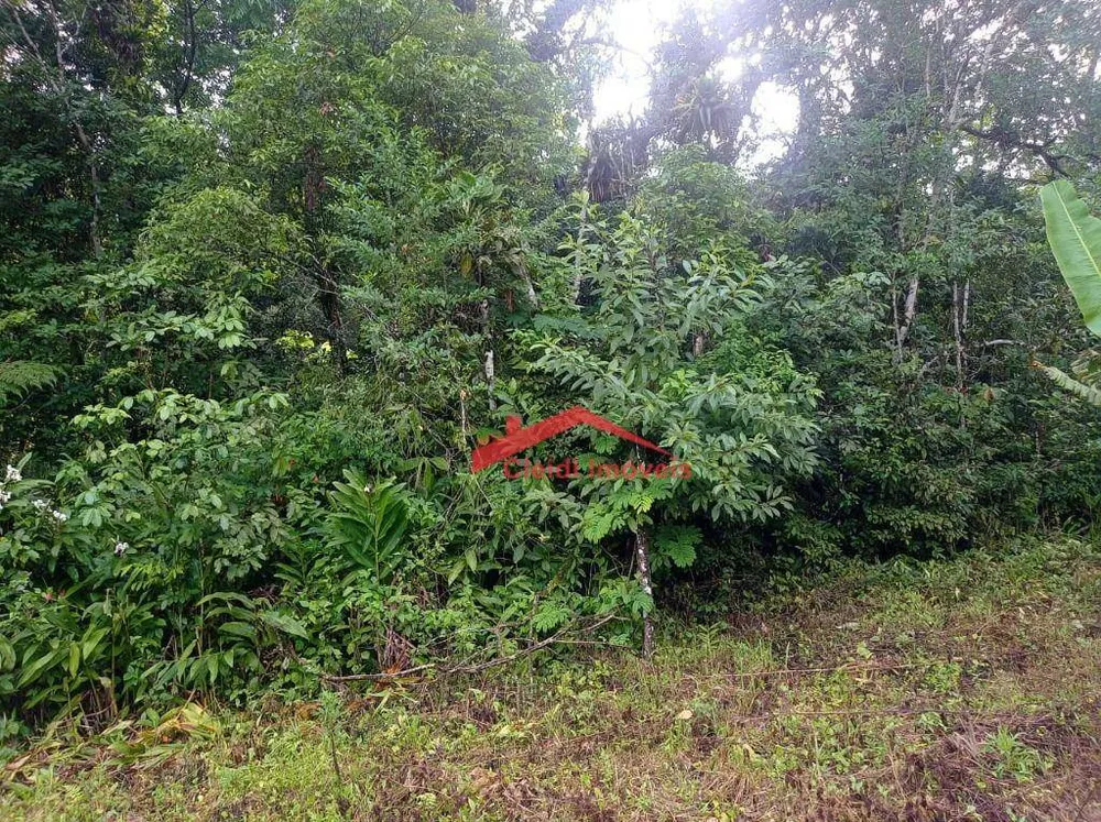 Loteamento e Condomínio, 3 hectares - Foto 2