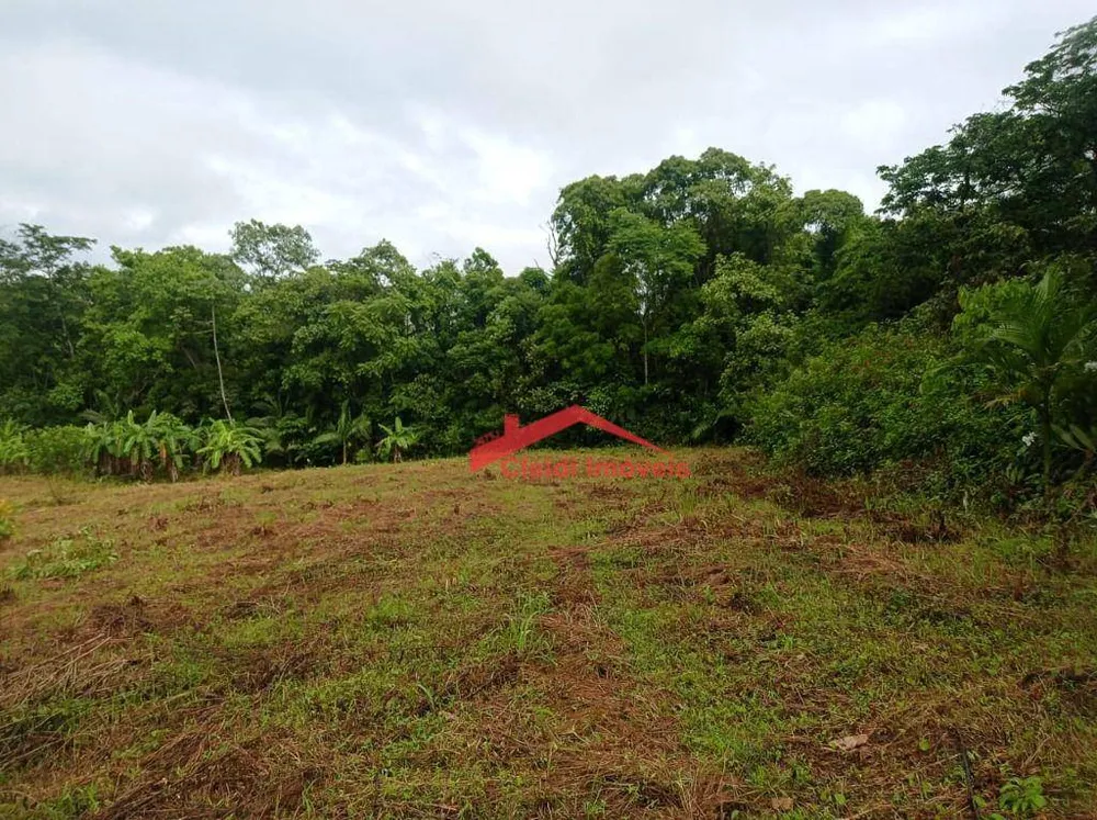 Loteamento e Condomínio, 3 hectares - Foto 3