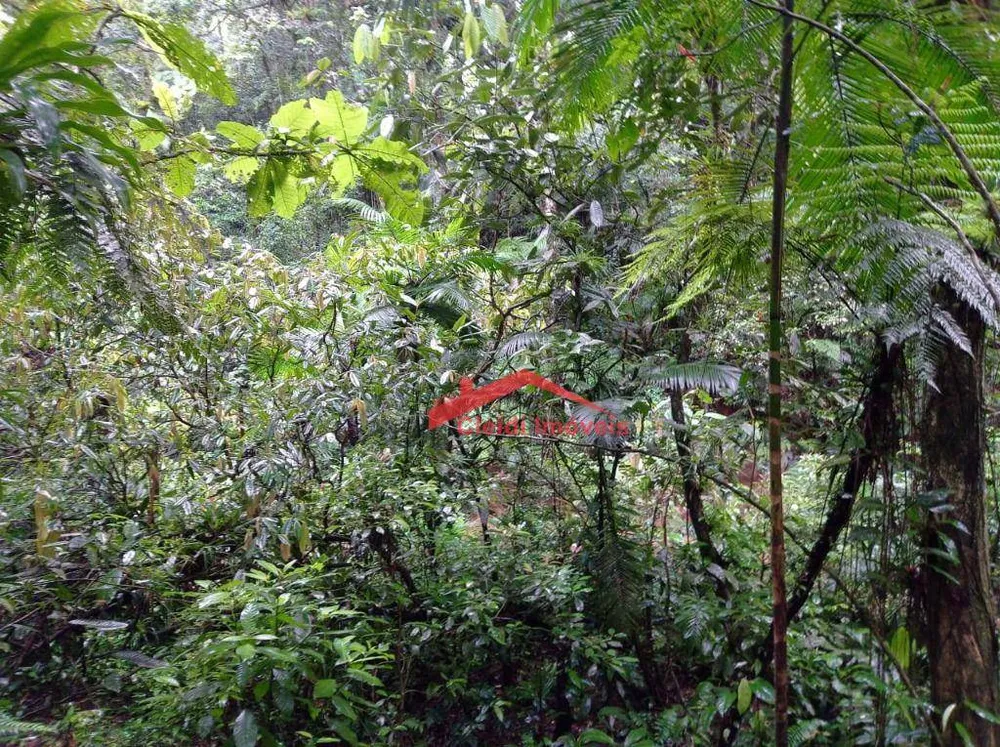 Loteamento e Condomínio, 3 hectares - Foto 7