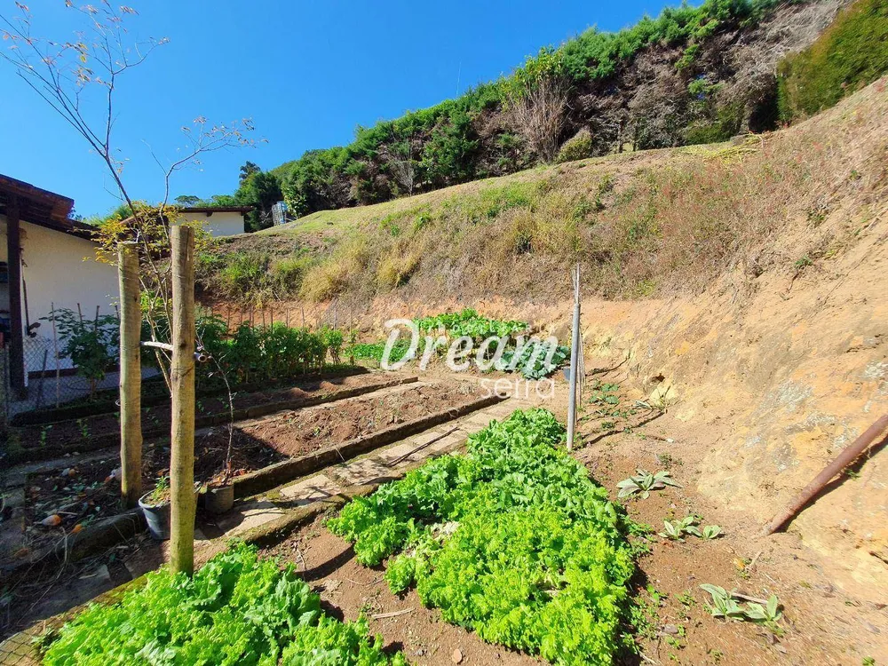 Casa, 4 quartos, 320 m² - Foto 57