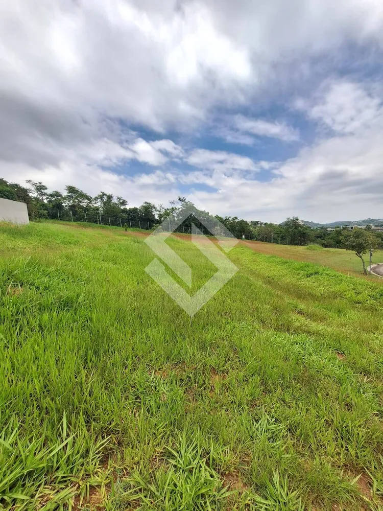 Terreno, 5 hectares - Foto 4