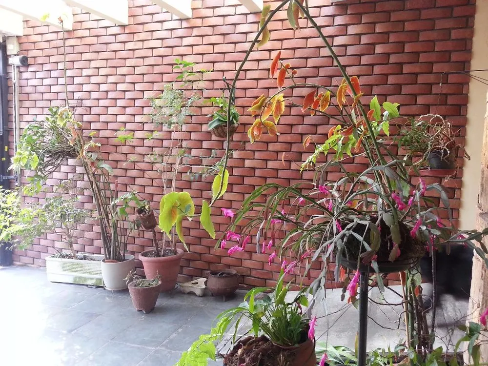 Sobrado, 3 quartos, 135 m² - Foto 1