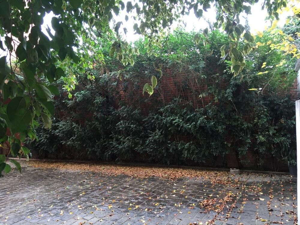 Sobrado, 4 quartos, 600 m² - Foto 3