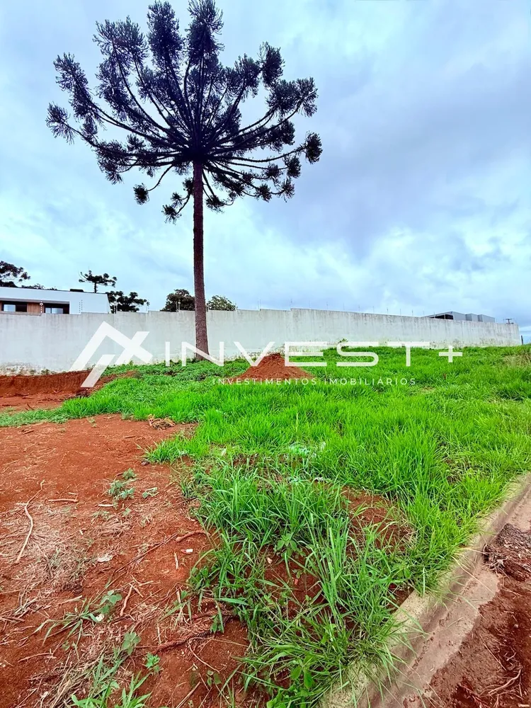 Terreno, 256 m² - Foto 2
