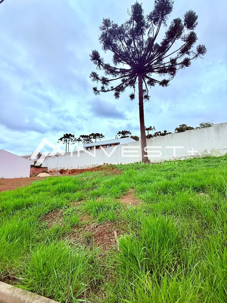 Terreno, 256 m² - Foto 3