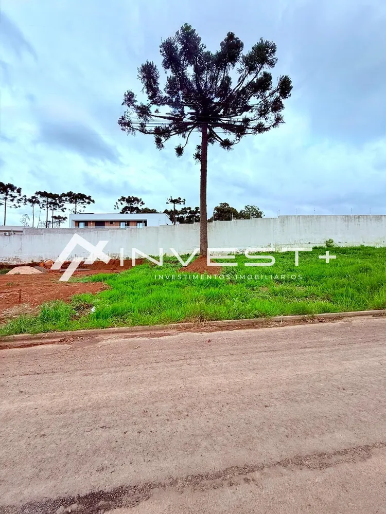 Terreno, 256 m² - Foto 1