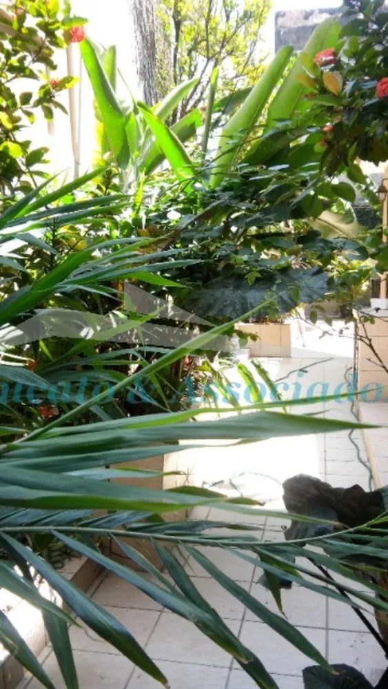 Casa, 3 quartos, 190 m² - Foto 6