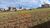 Terreno - Foto 3