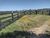 Sítio, 12 hectares - Foto 3