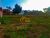 Terreno, 1000 m² - Foto 2