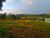 Terreno, 1000 m² - Foto 5