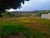 Terreno, 1000 m² - Foto 4