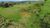 Sítio, 2 quartos, 4 hectares - Foto 2