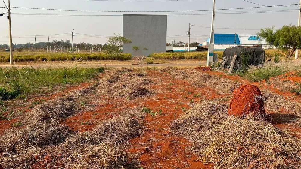 Terreno à venda - Foto 3