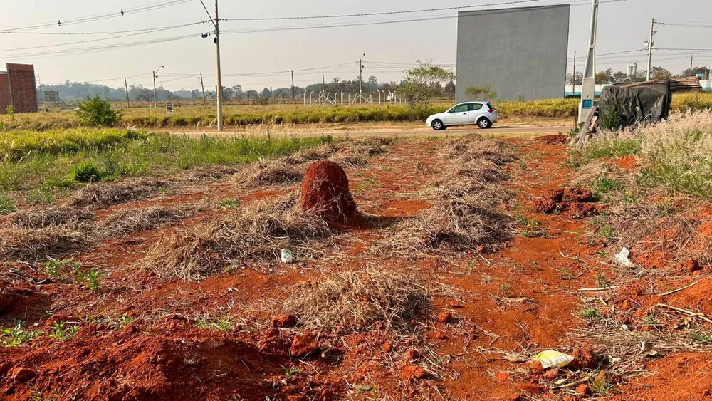 Terreno à venda - Foto 4