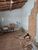 Casa, 3 quartos, 207 m² - Foto 3