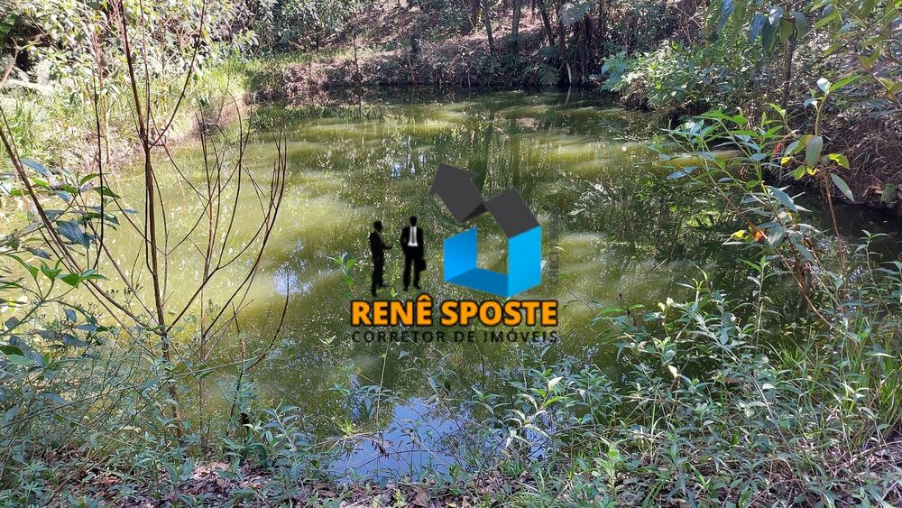 Chácara, 2 quartos, 2 hectares - Foto 2