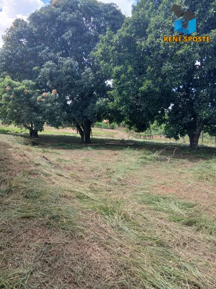 Chácara, 3 quartos, 5560 m² - Foto 14