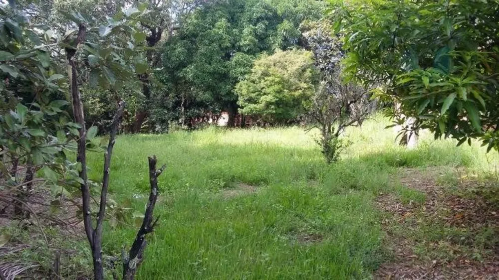 Sobrado, 5 quartos, 375 m² - Foto 18
