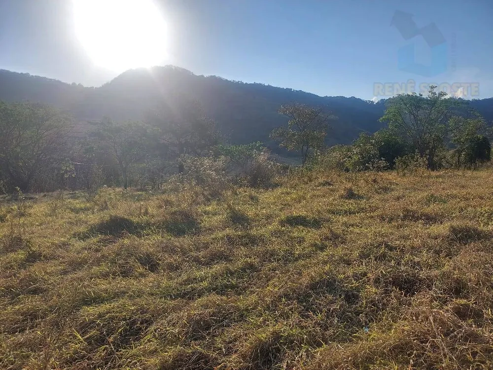 Terreno, 5000 m² - Foto 3