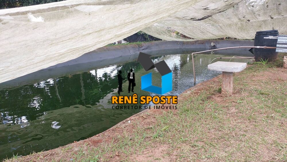 Chácara, 3 quartos, 5000 m² - Foto 5